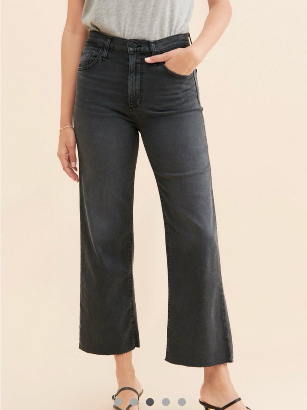 Anthropologie Joe's Jeans The Blake Flare Leg